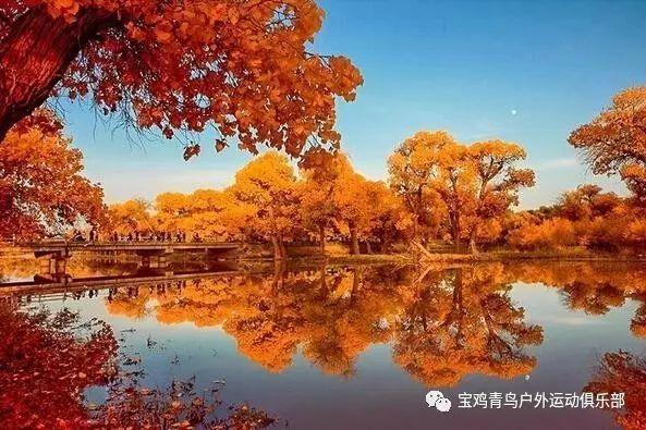 逃离痛苦的房子2